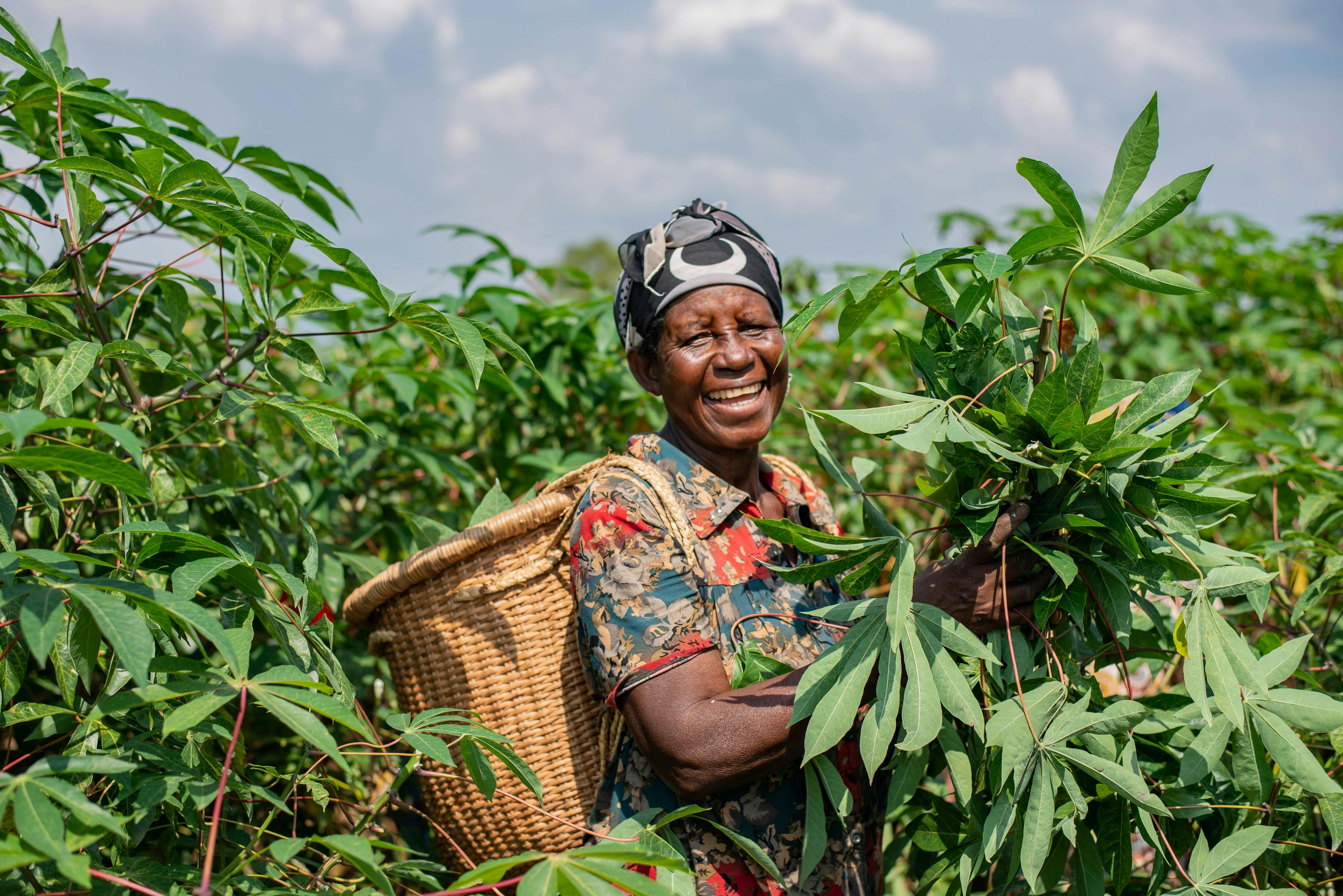 East Africa Must Prioritise Smart Financing for Its MSME Future